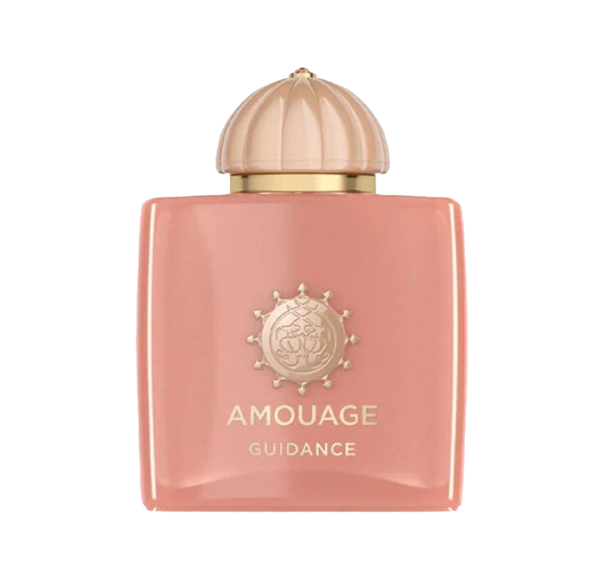 Amouage Guidance 100ml